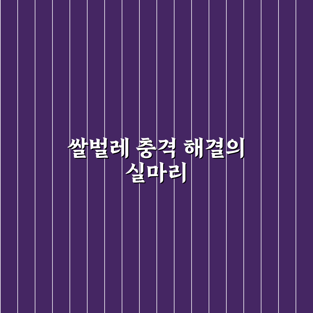 쌀벌레 예방 및 퇴치 방법, 제가 직접 겪은 리얼후기