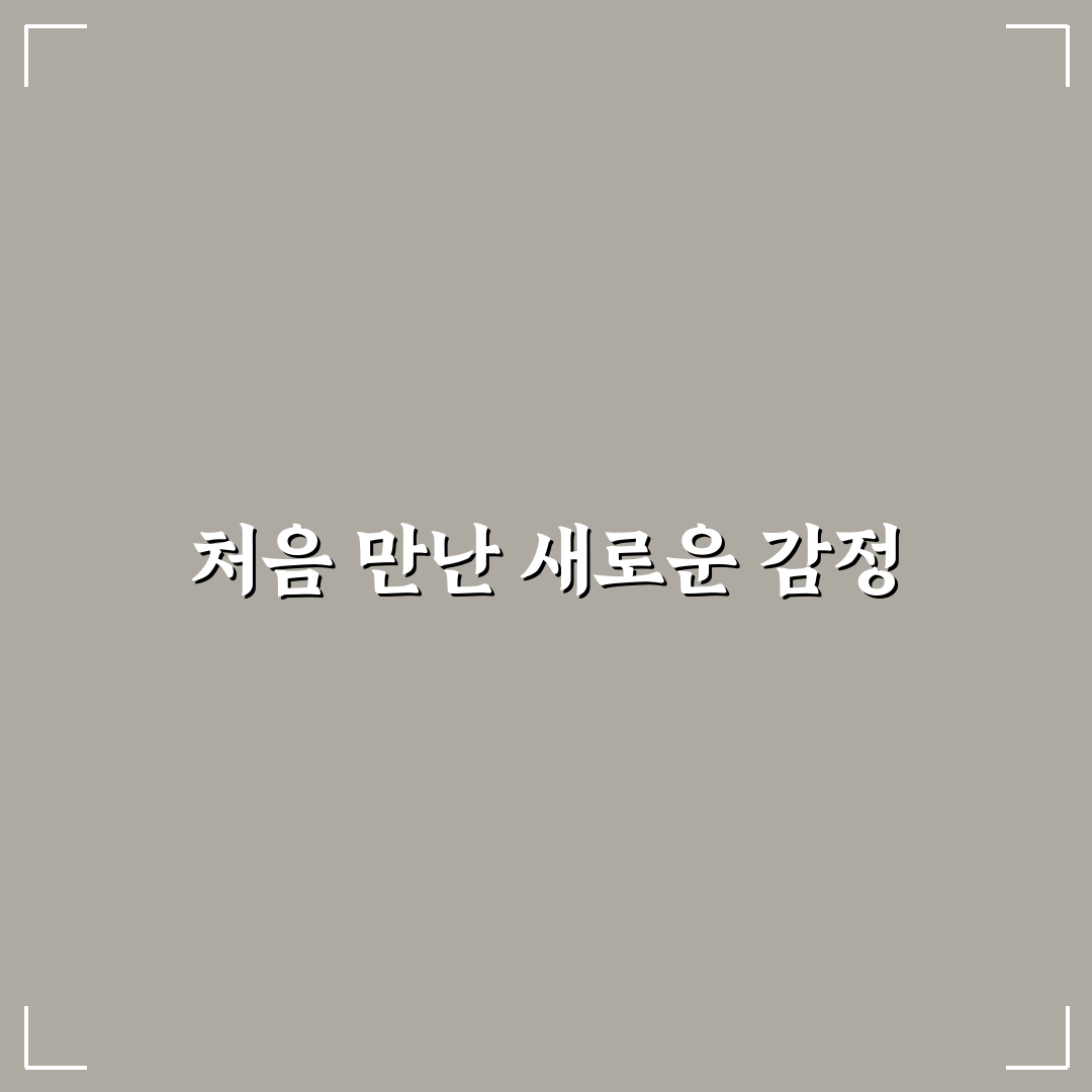 잠 못 드는 밤 숙면 유도 꿀팁 직접 써본 후기