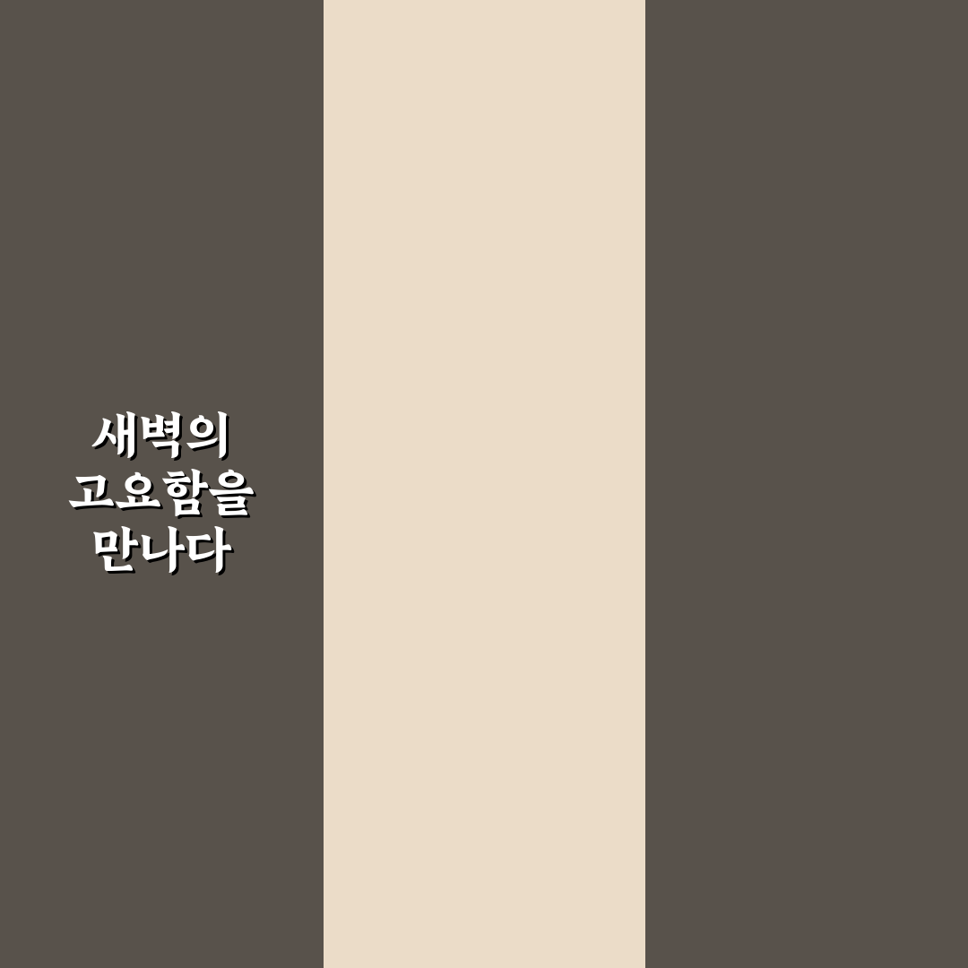 새벽 기상 습관 만들기 꿀팁 직접 써본 후기