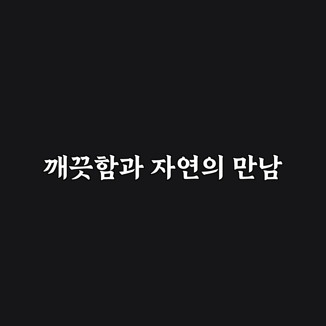 욕실 물때 제거 친환경 세제 추천 직접 써본 후기와 효과 분석