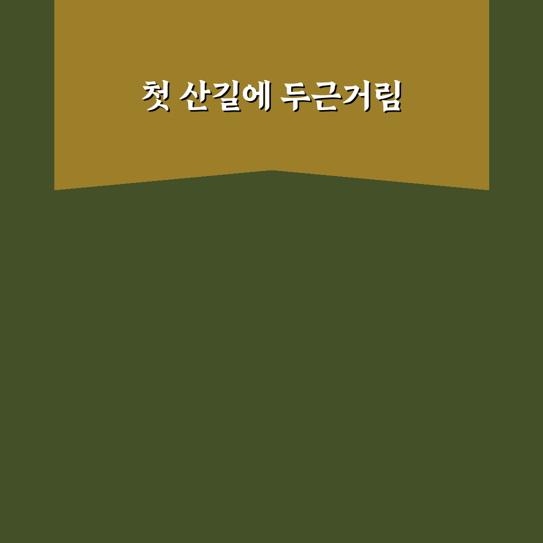 등산 초보를 위한 건강 준비, 직접 써본 후기와 팁