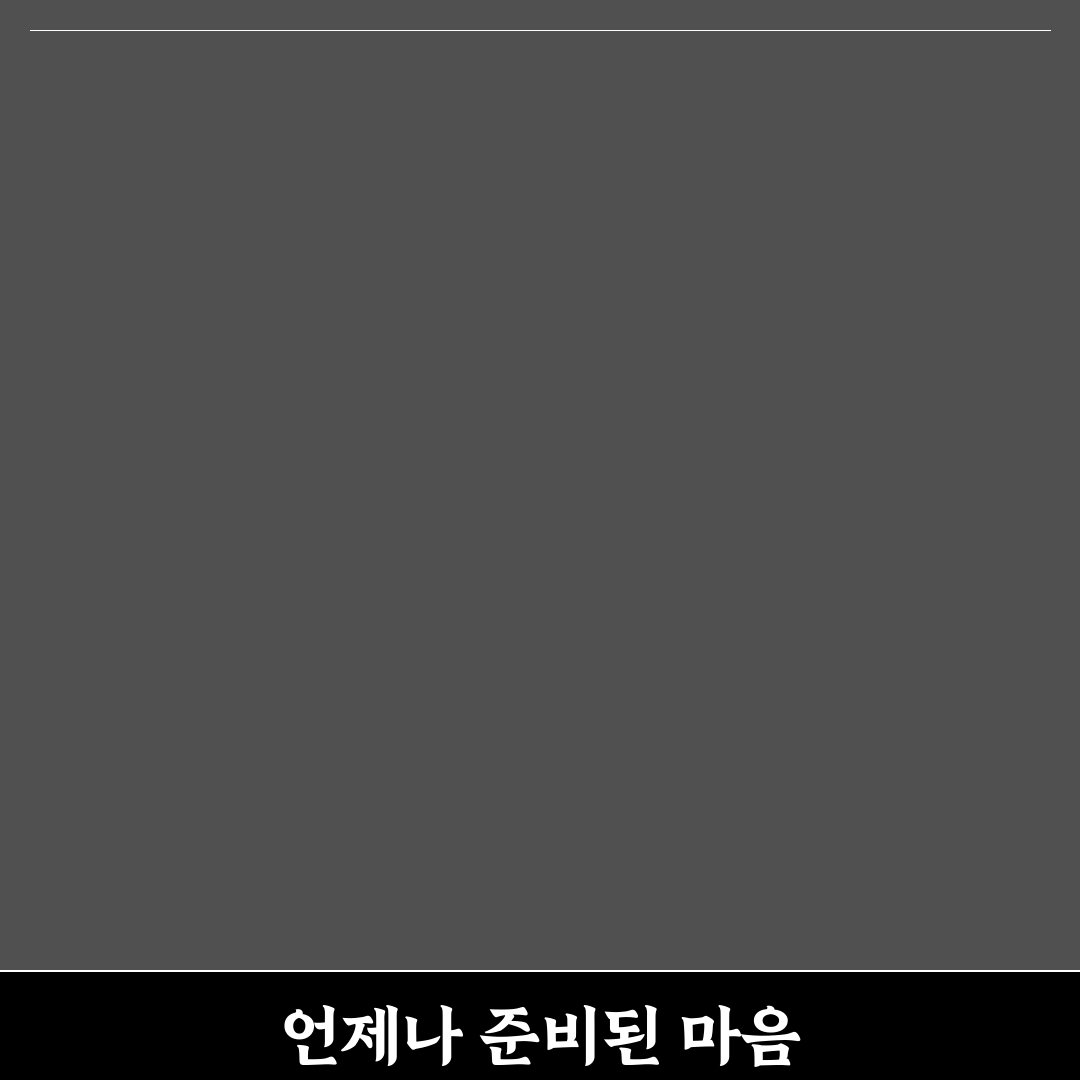 반려동물 갑자기 아플 때 응급 처치 직접 써본 후기