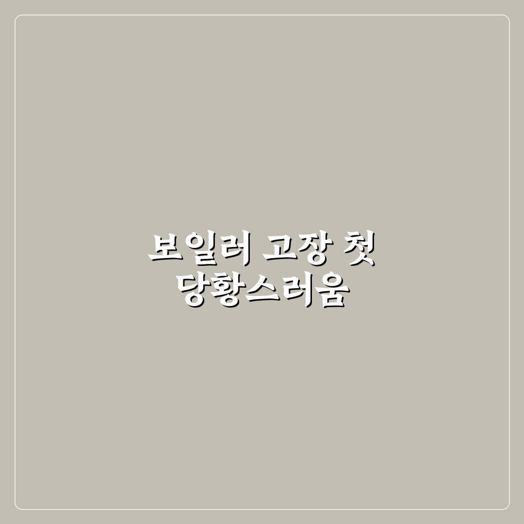 보일러 작동 안 될 때 점검 직접 써본 후기와 해결 방법