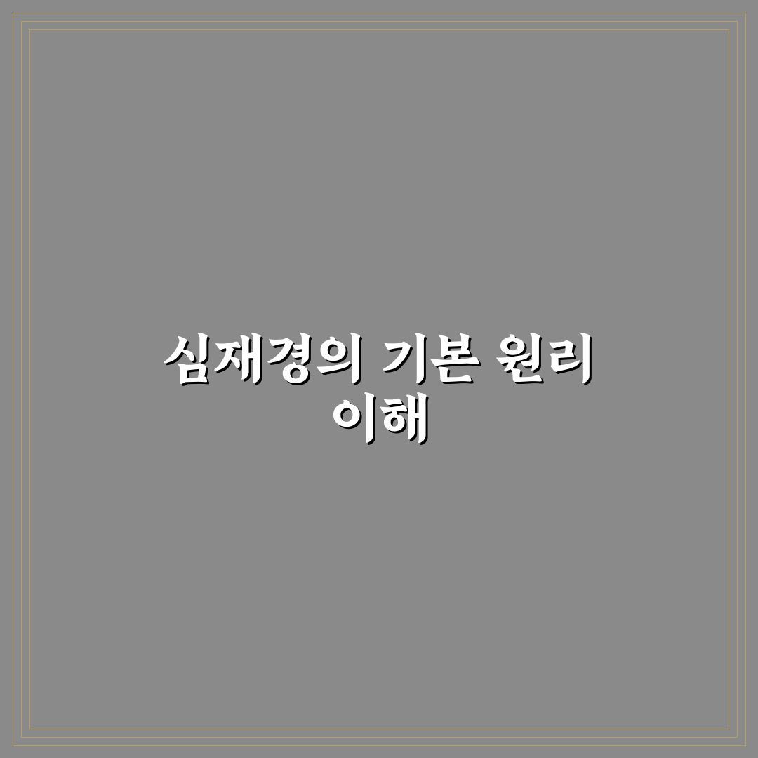 심재경 비교 분석과 5가지 핵심 체크포인트 총정리