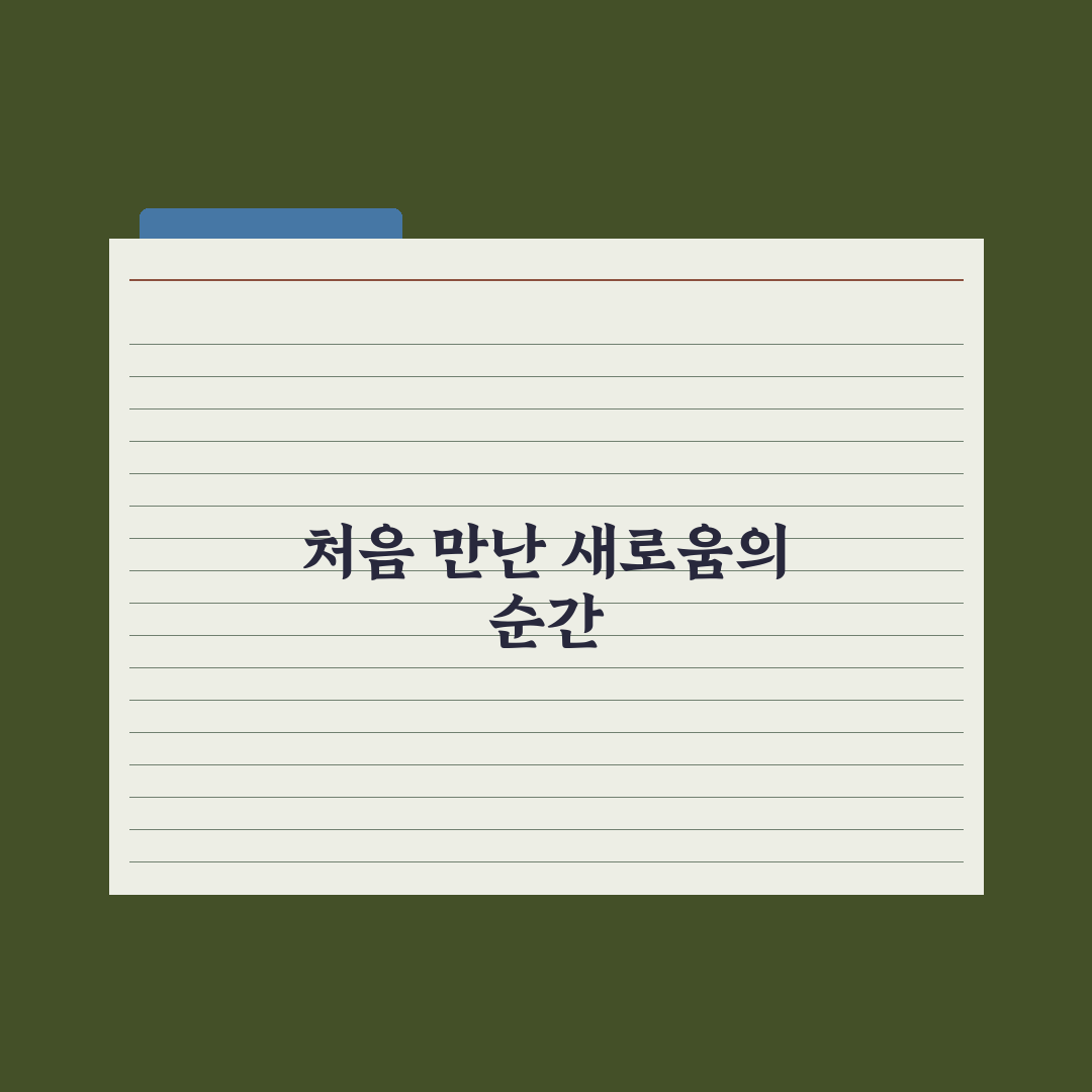 주방 청결 유지하는 살림 노하우 직접 써본 후기와 팁
