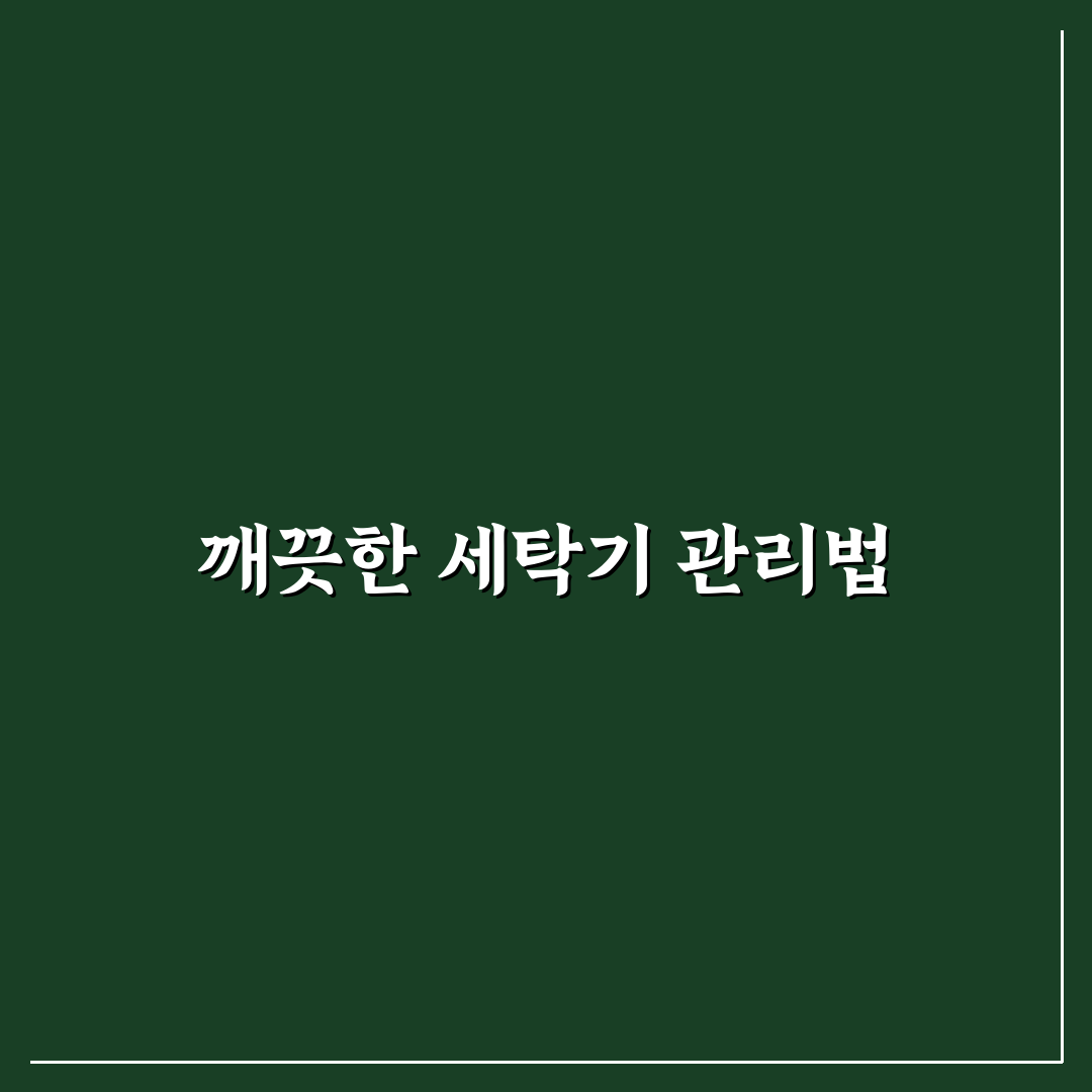 세탁기 내부 청소 완벽 가이드 직접 써본 후기