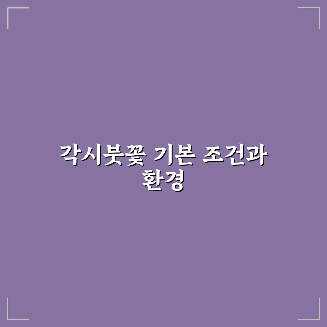 각시붓꽃 키우기 5가지 기준과 관리 체크포인트 분석