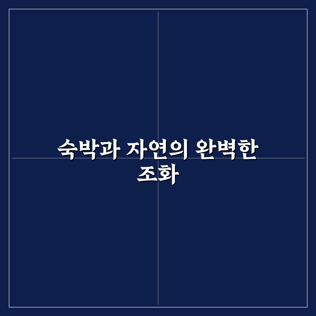 남이섬 설리조트 객실·부대시설 비교와 선택 기준 5가지