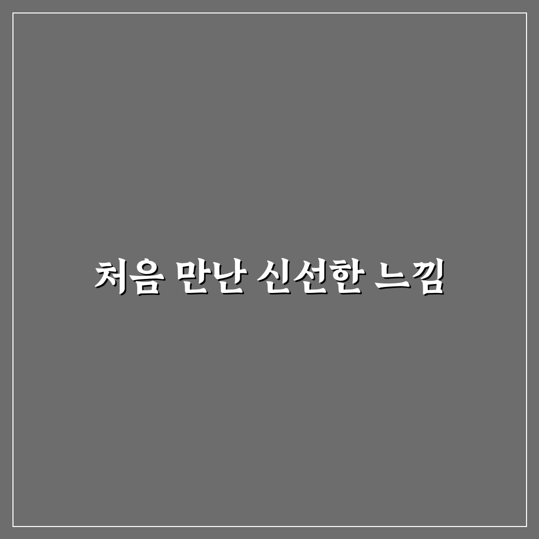 인덕션 청소 및 관리 방법 직접 써본 후기와 꿀팁