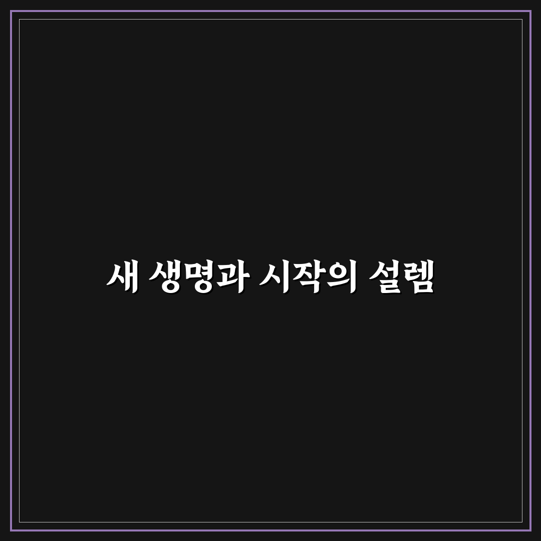 화분 관리 초보를 위한 팁, 직접 써본 후기와 실용 조언