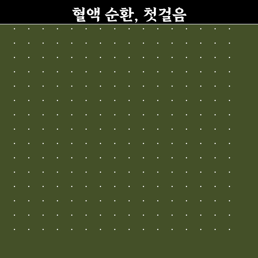 혈액 순환 개선 위한 운동 직접 써본 후 효과와 방법