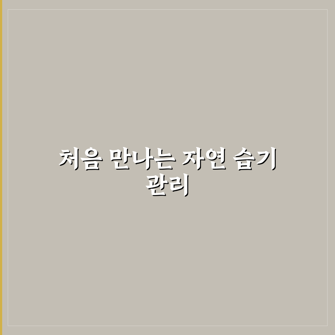 제습기 없이 습기 제거하는 법 직접 써본 후기와 효과 팁