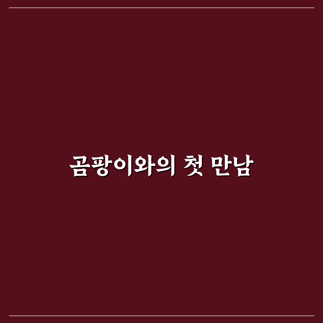 곰팡이 제거제 사용 시 주의사항과 직접 써본 후기