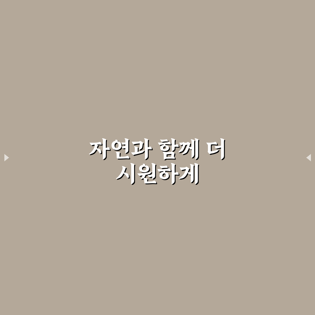 에어컨 없이 시원한 여름 나기 직접 써본 후기와 꿀팁