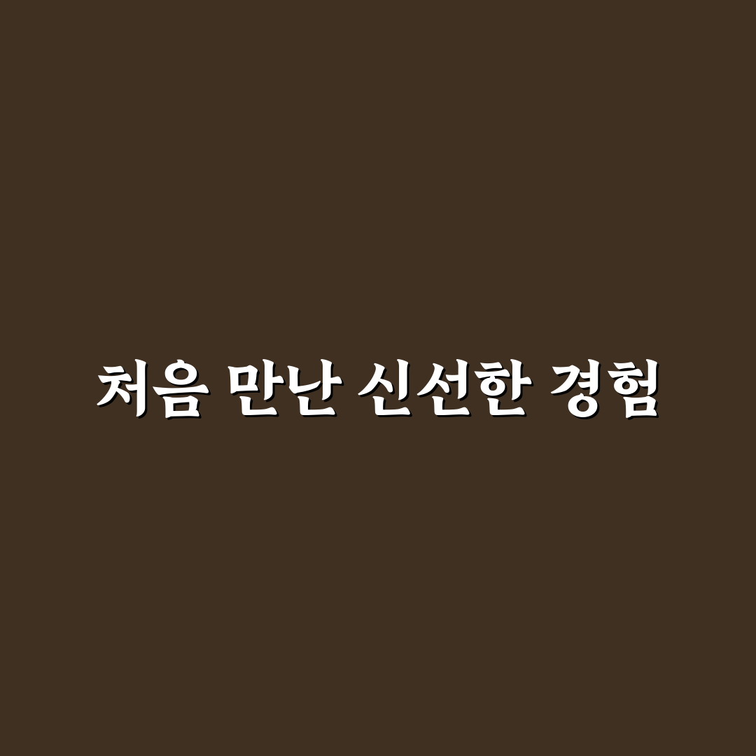신선 식품 보관 용기 추천 직접 써본 후기와 선택 기준