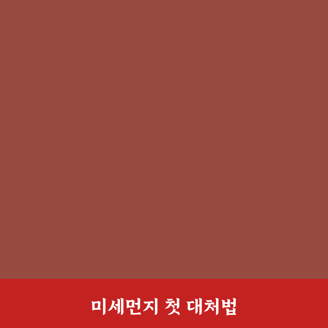 미세먼지 심한 날 생활 꿀팁 직접 써본 후기로 알아본 필수 아이템