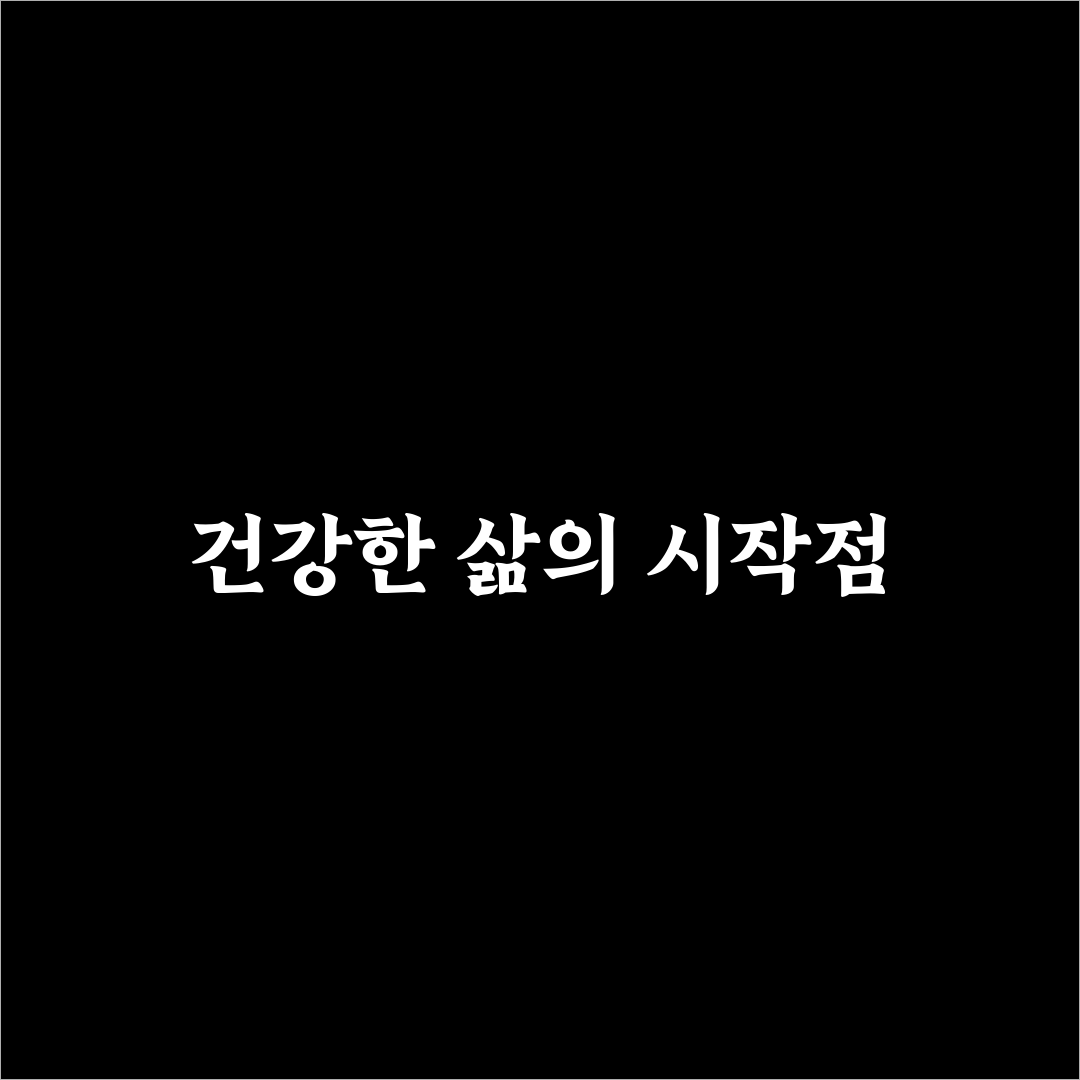 비타민 미네랄 섭취 가이드 직접 써본 후기와 팁