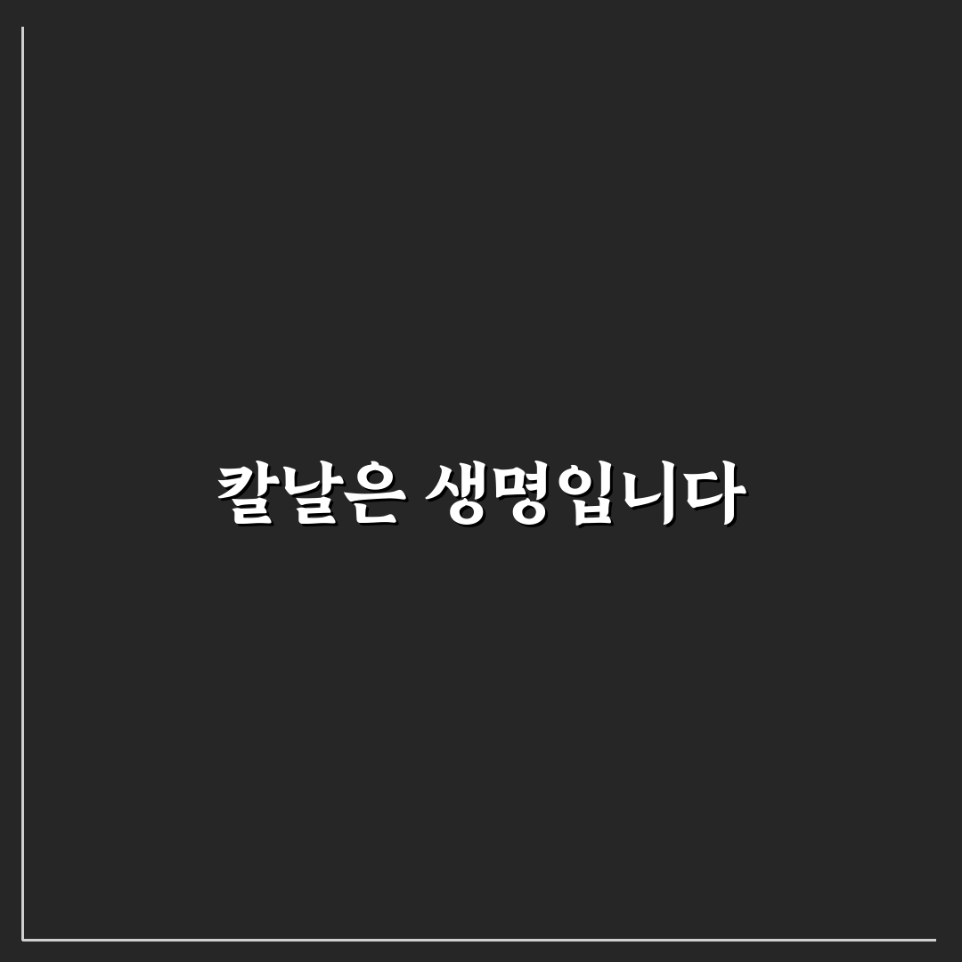 주방 칼 녹 제거 보관법 직접 써본 솔직후기