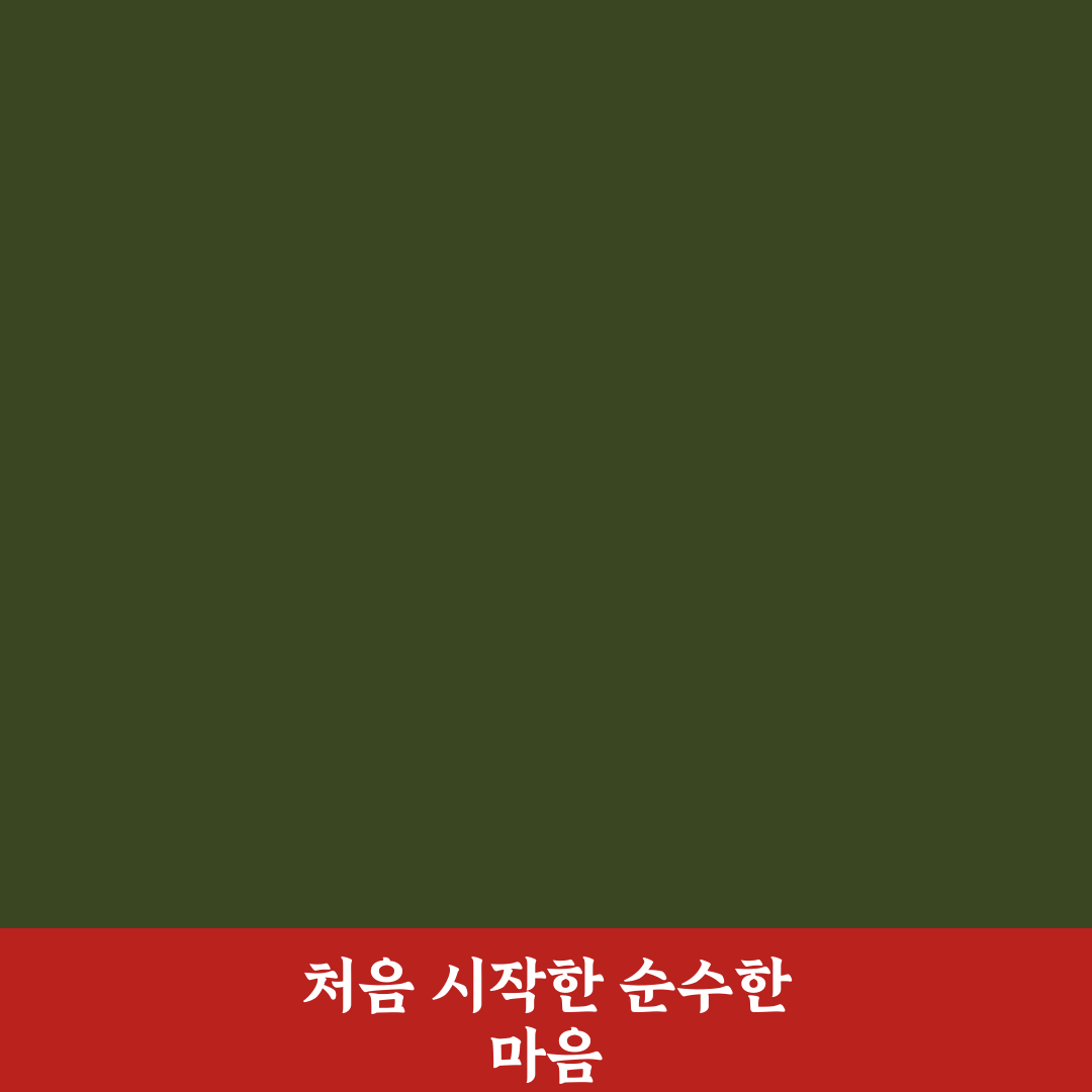 자동차 실내 청소 셀프 가이드 직접 써본 리얼후기