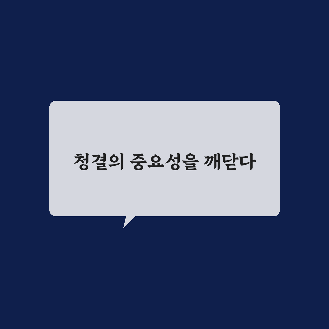 욕실 청소 루틴 쉽게 만드는 법 직접 써본 후기와 팁