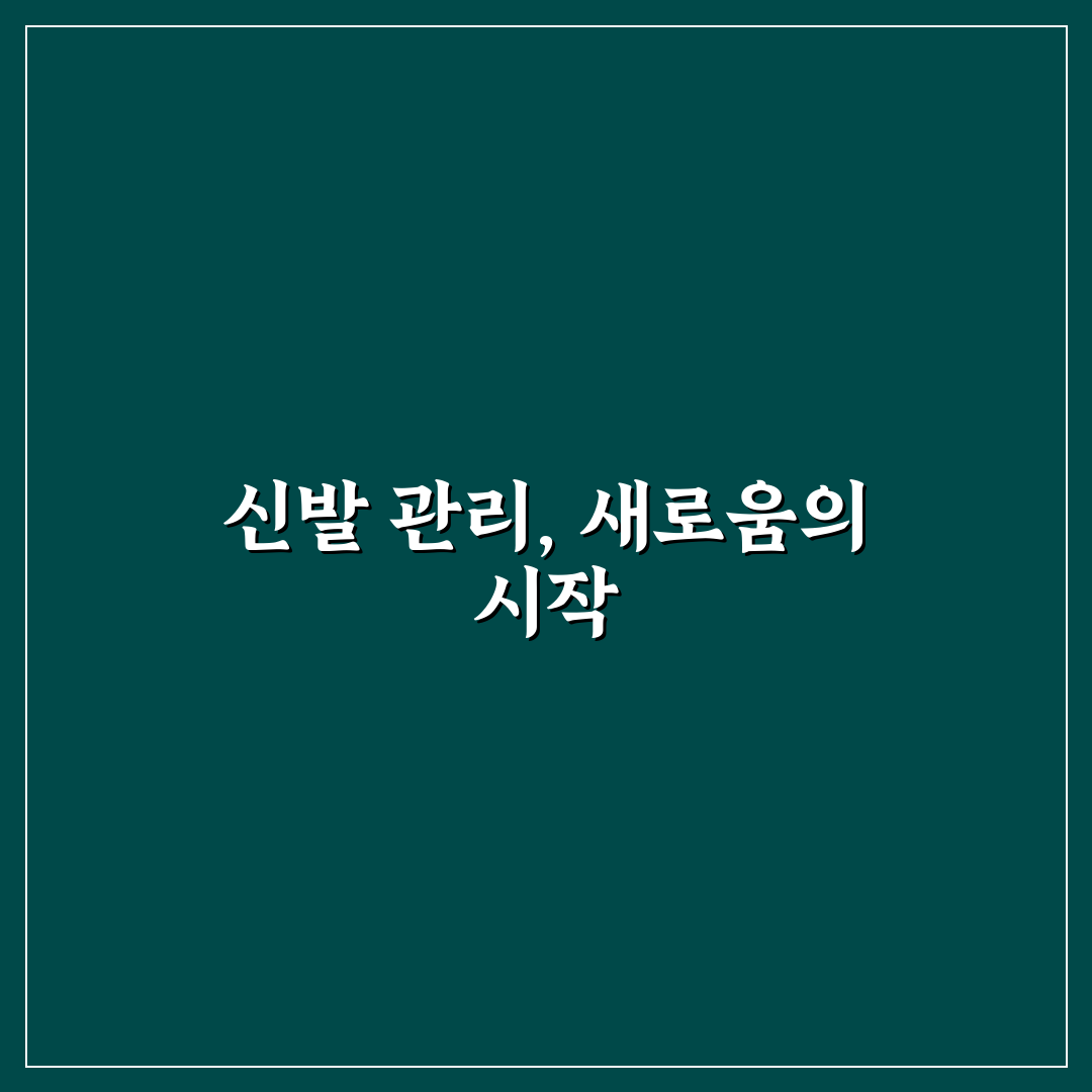 신발 냄새 제거 효과적인 방법 직접 써본 솔직후기