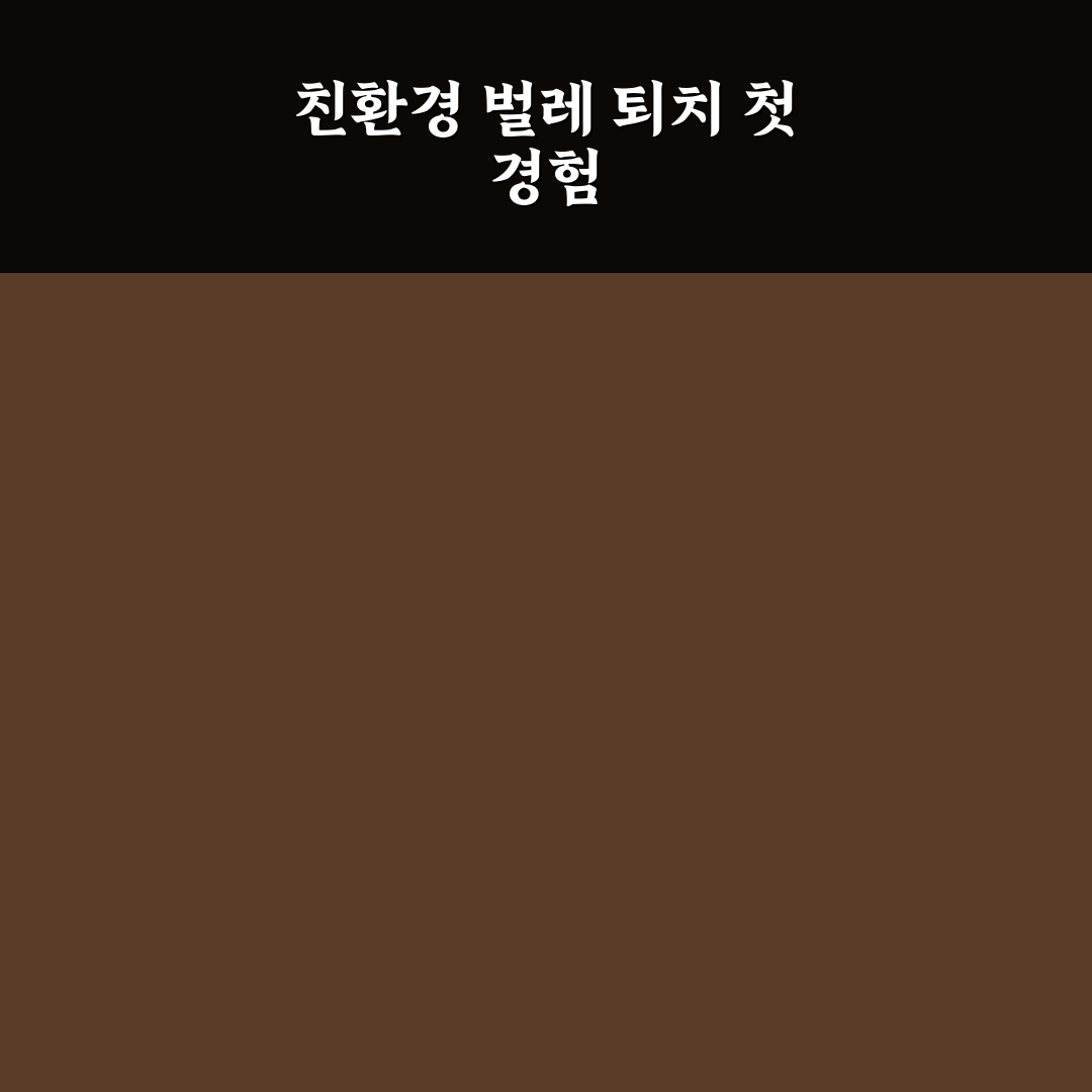 집안 벌레 퇴치 친환경 방법 직접 써본 후기와 효과 분석