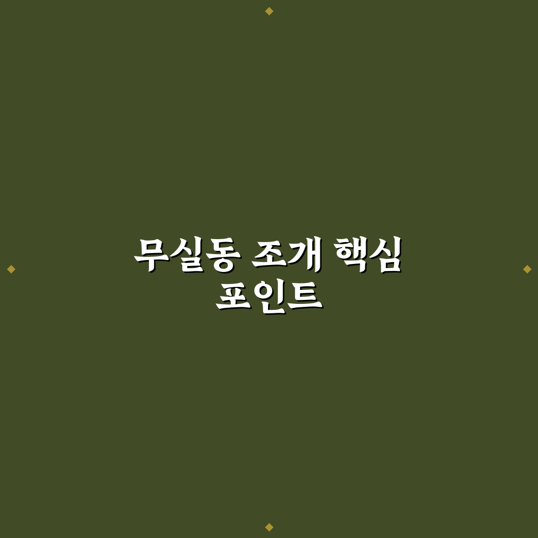 무실동 조개이야기 비교와 분석 5가지 기준 총정리