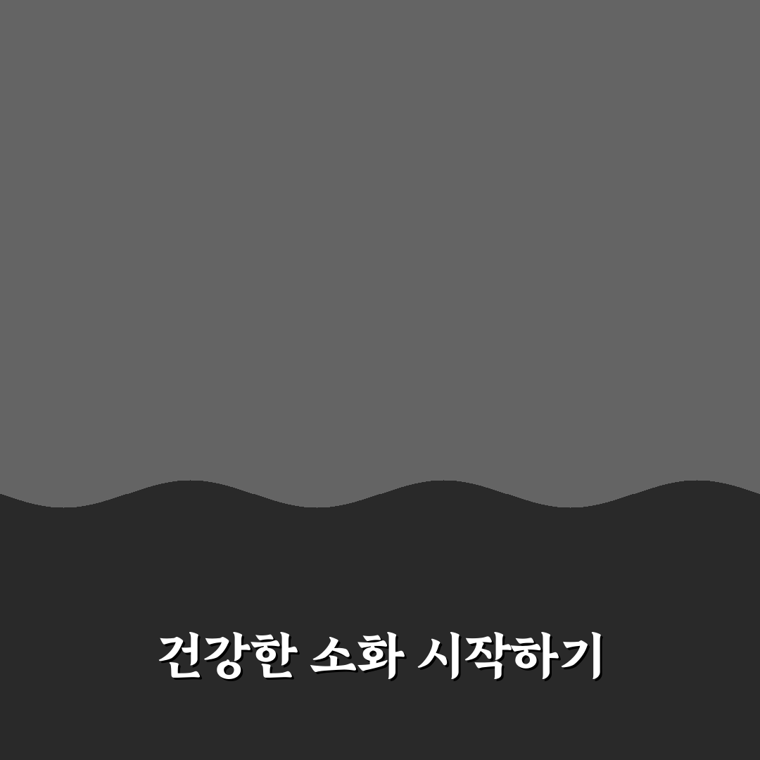 위 건강을 위한 식습관 직접 써본 후기와 효과 분석