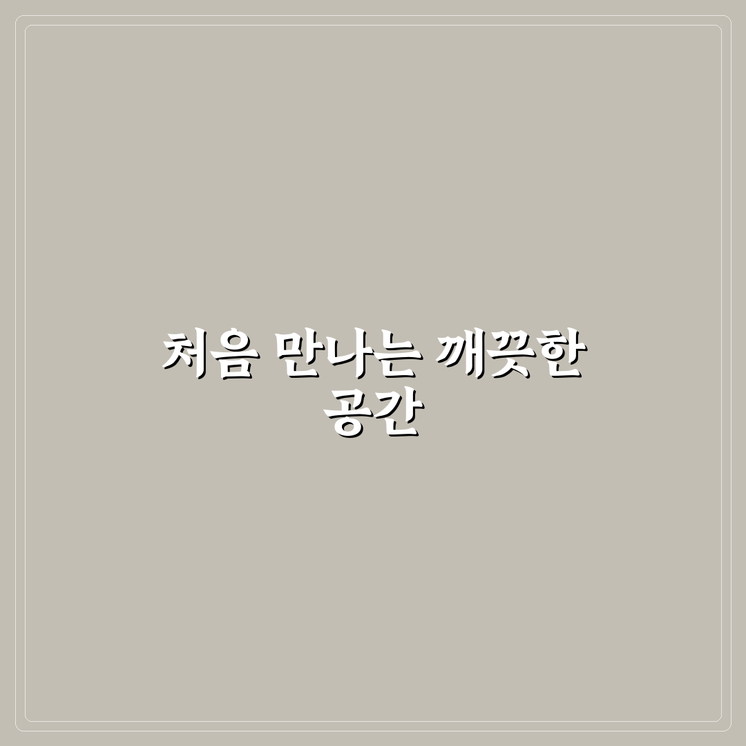 차량 내부 세차 및 정리 노하우 직접 써본 후기