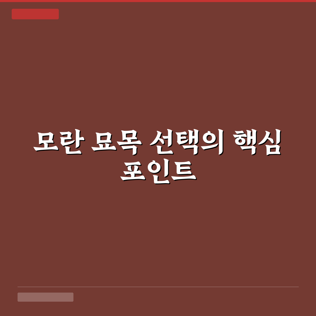 모란 묘목 선택 가이드와 건강한 관리 체크포인트
