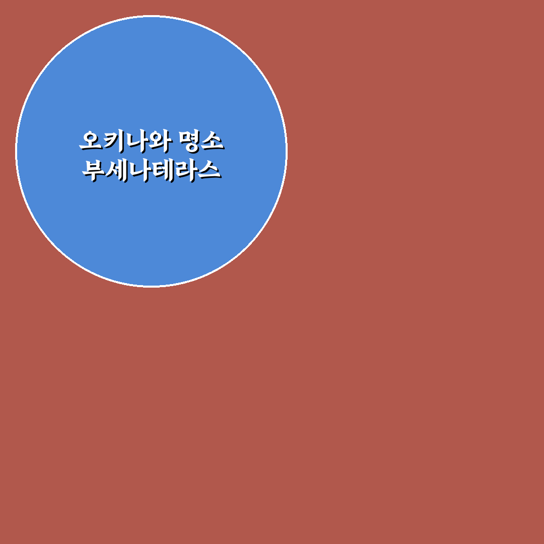 오키나와 부세나테라스 숙박 선택 가이드와 비교 분석
