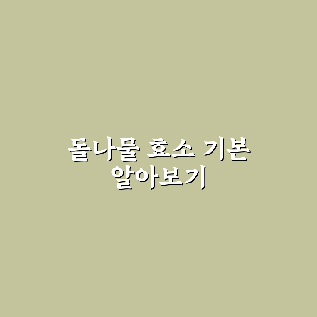돌나물 효소 담그는법 5가지 기준별 비교와 가이드