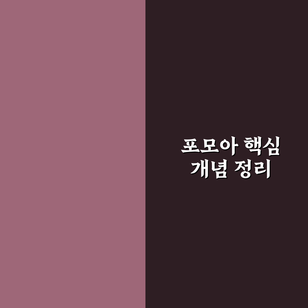 포모아 비교 분석과 선택 기준 5가지 총정리