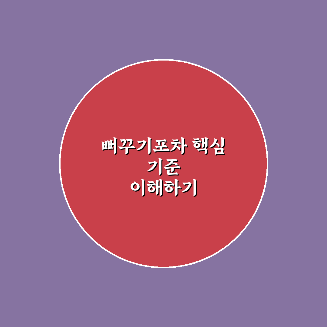 뻐꾸기포차 선택 가이드와 맛·가격 비교 분석
