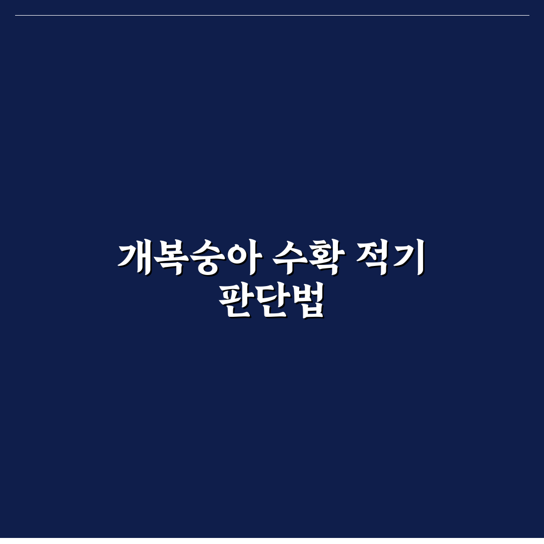 개복숭아따는시기 판단을 위한 3가지 핵심 체크포인트 총정리