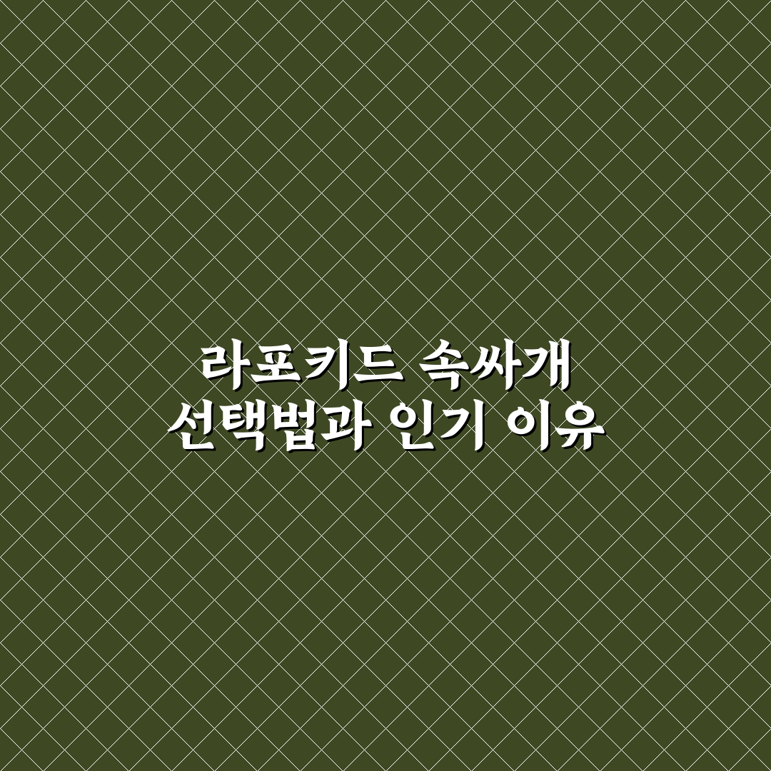 라포키드 속싸개 선택 가이드와 주요 비교 분석