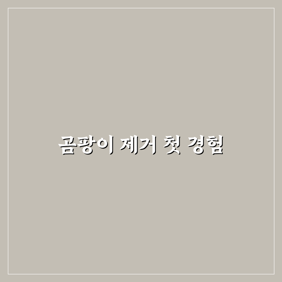 화장실 곰팡이 쉽게 제거하는 법 직접 써본 후기