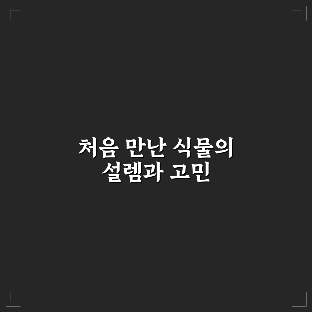초보 식물 집사 위한 관리법 직접 써본 후기와 팁