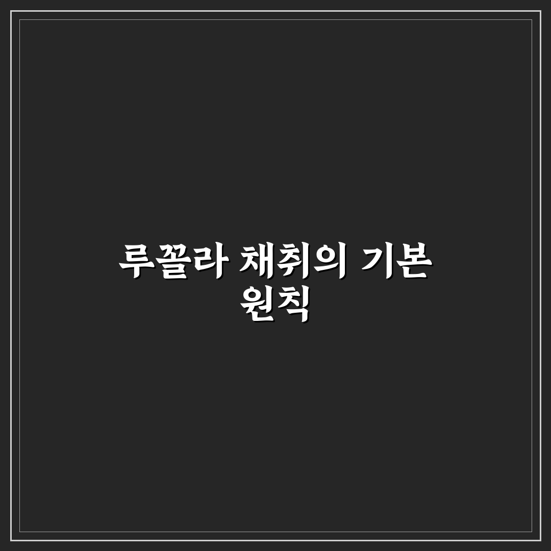 루꼴라 따는법 5가지 체크포인트와 비교 분석
