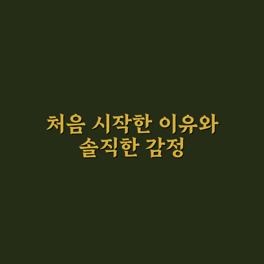 냉장고 정리 정돈 노하우 직접 써본 후기와 꿀팁