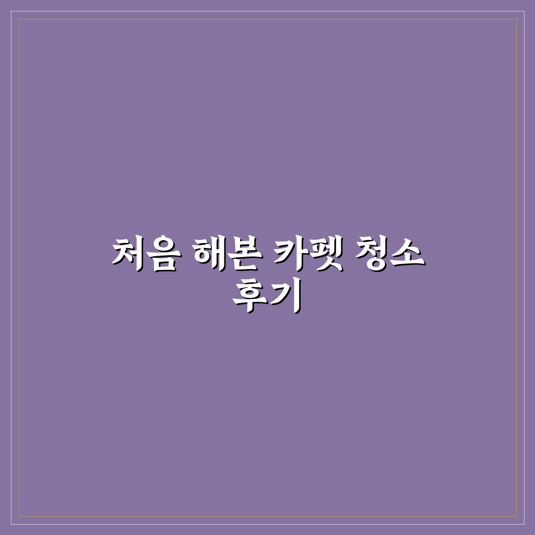 카펫 먼지 진드기 제거 방법 직접 써본 후기와 팁