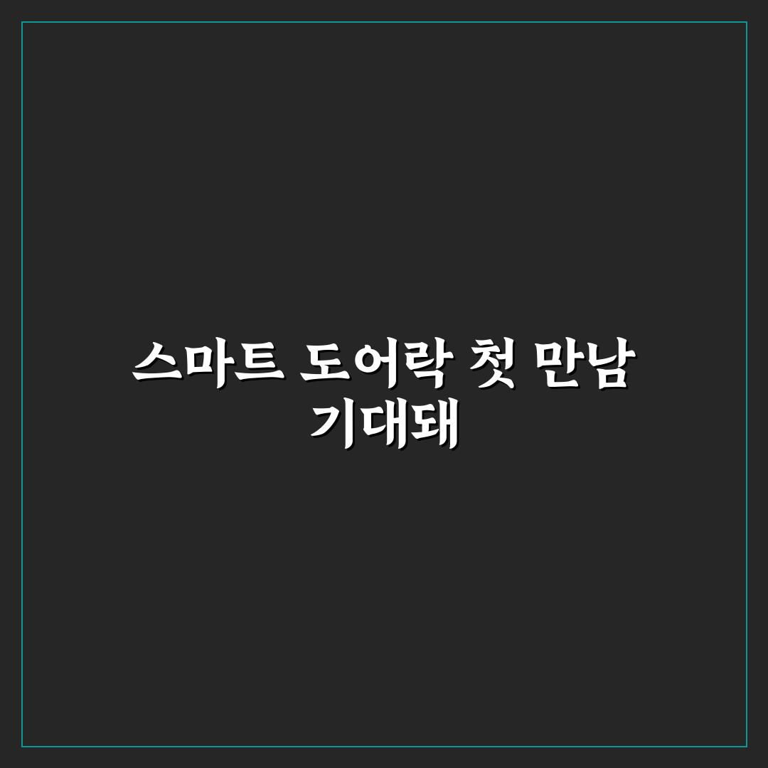 스마트 도어락 비밀번호 오류 해결 직접 써본 후기
