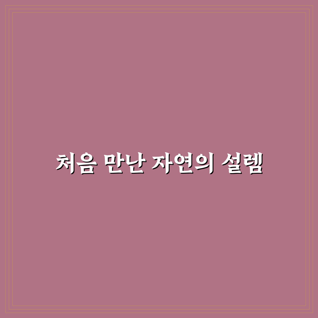 숲 체험 명상 건강 효과 직접 써본 솔직후기