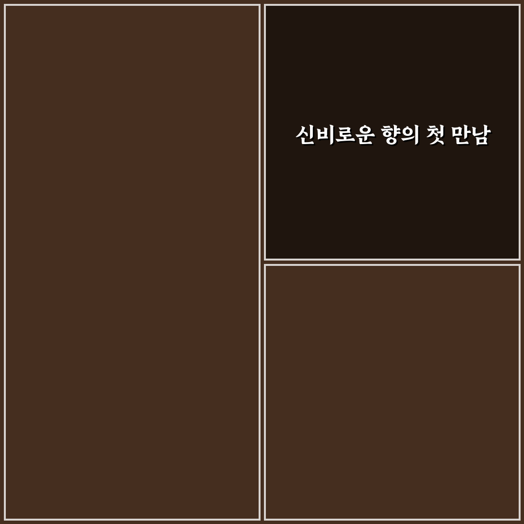 아로마 오일 활용 심신 안정 직접 써본 후기