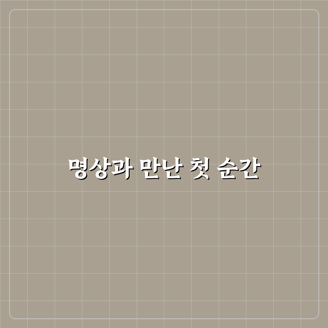 명상으로 스트레스 줄이고 시간 확보한 직접 써본 후기