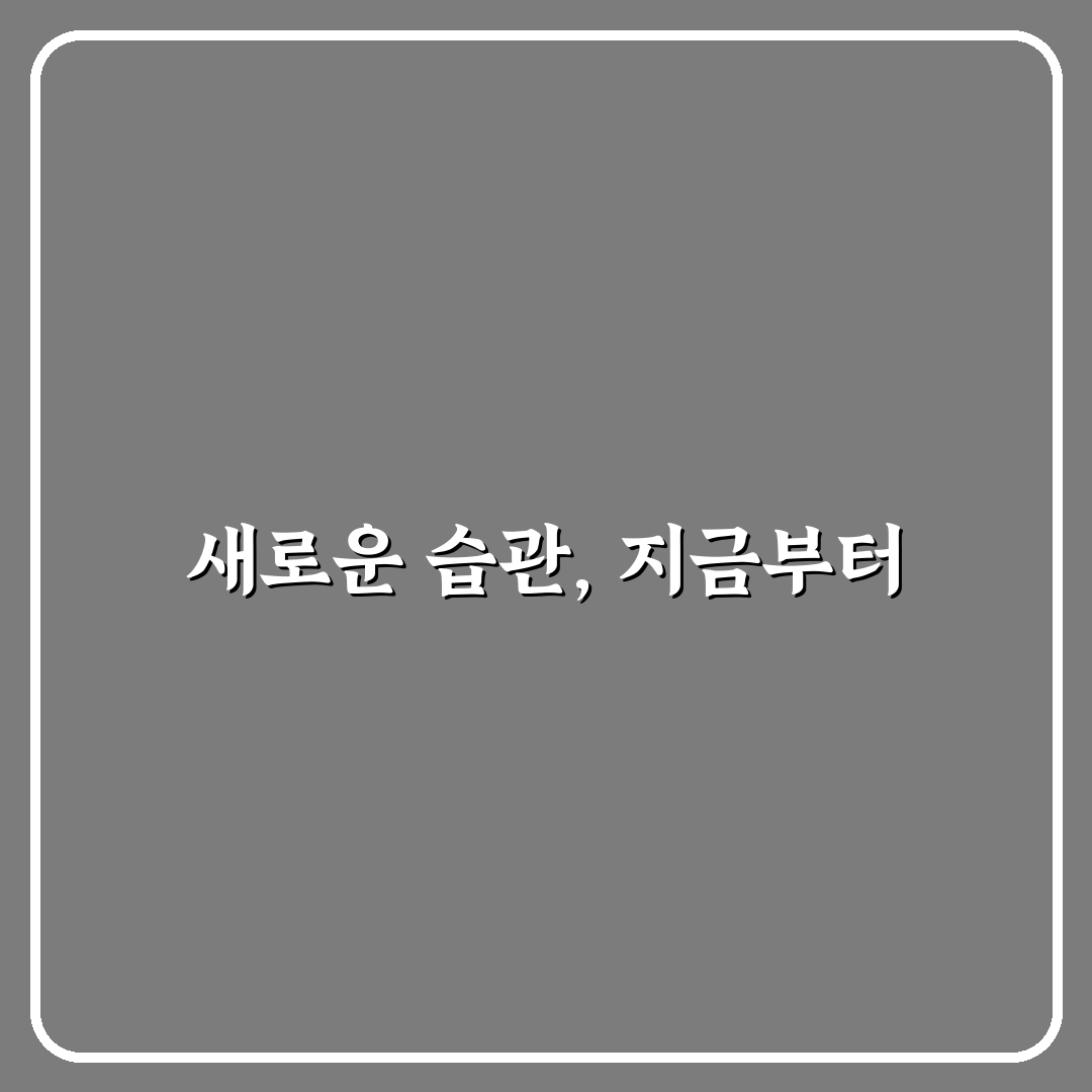자기 주도 학습 시간 관리 전략 직접 써본 후기