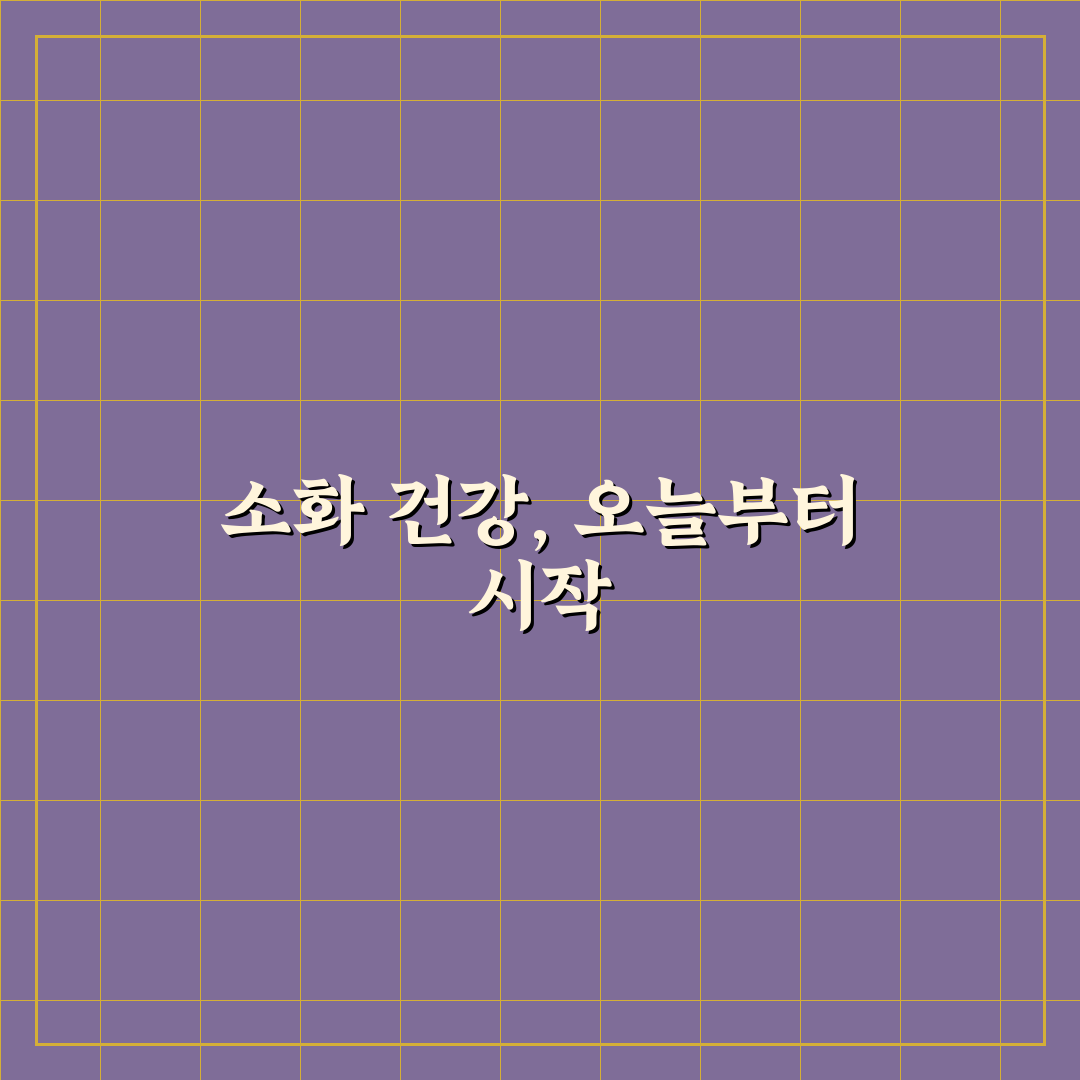 식사 후 소화 돕는 습관 직접 써본 후기와 효과 경험기
