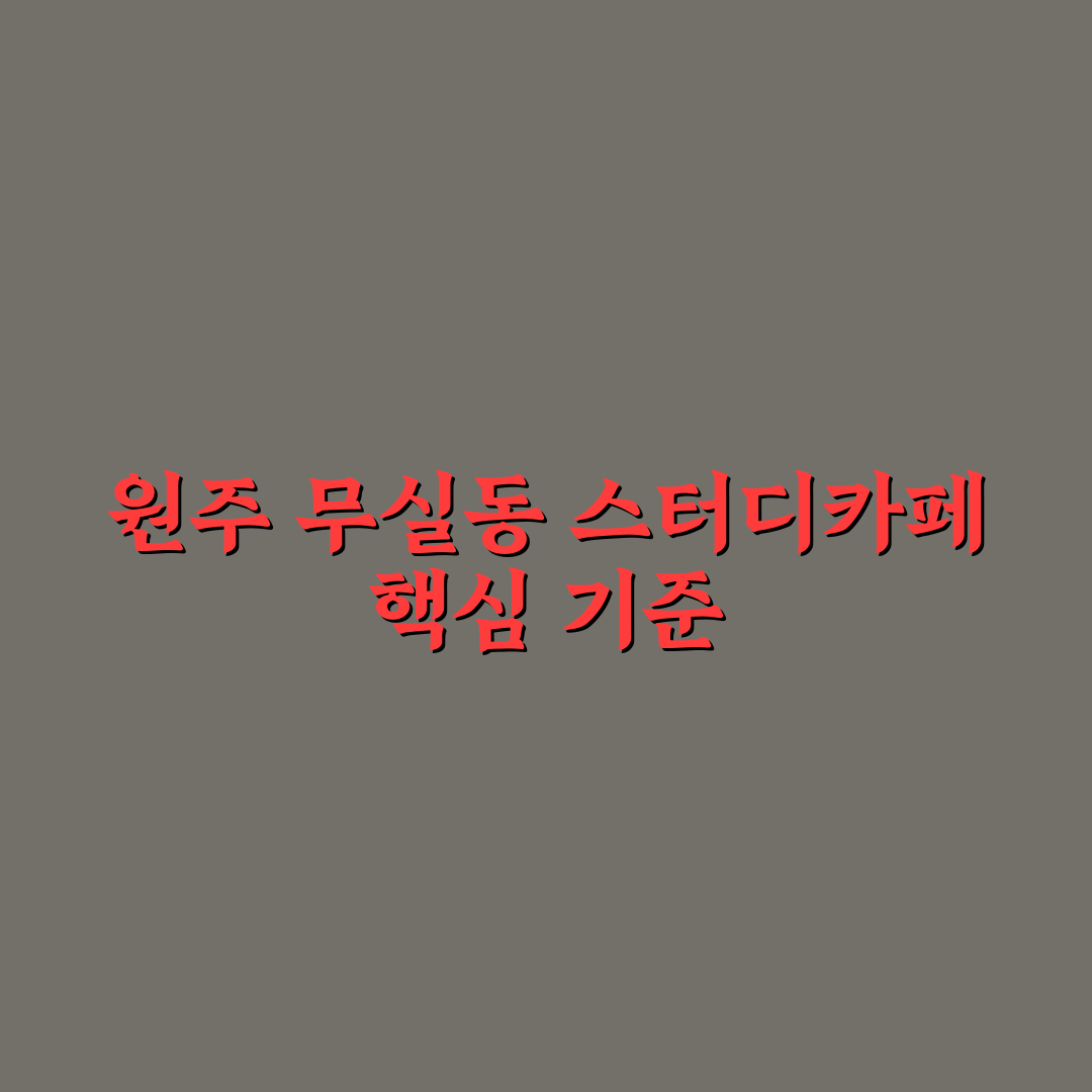 원주 무실동 스터디 카페 선택 기준과 비교 분석 5가지
