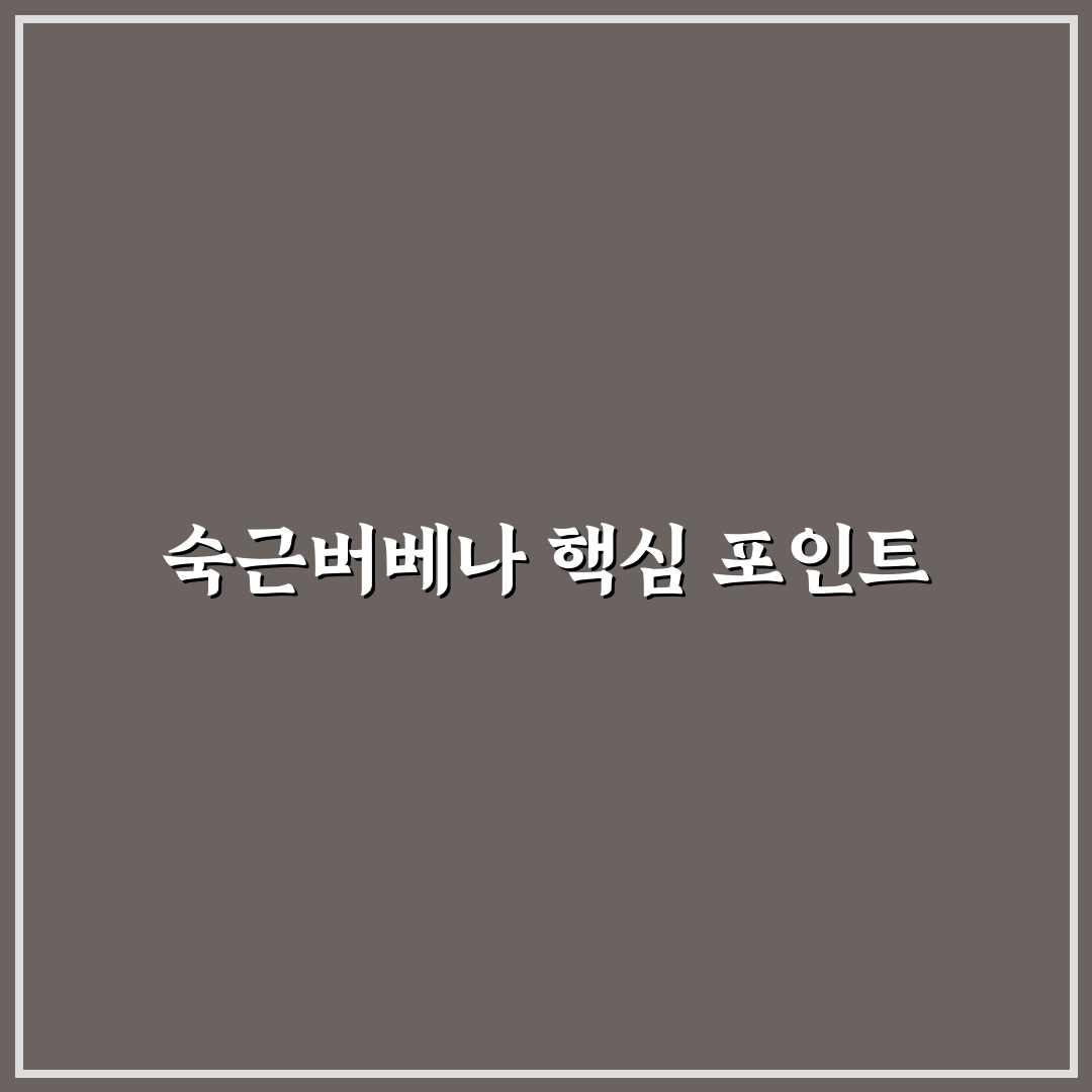 숙근버베나 선택과 관리 5가지 기준 총정리