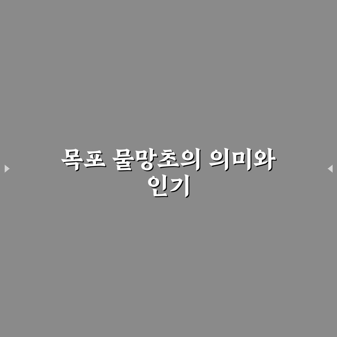 목포 물망초 품질과 가격 비교 분석 5가지 기준 총정리